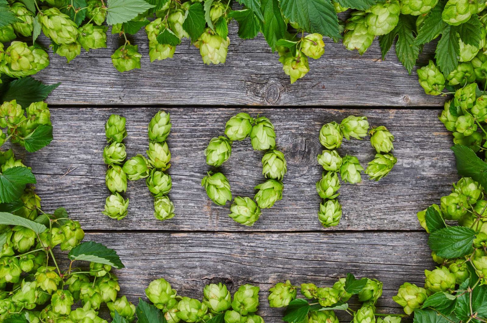 The Word Hop Spelled With Hops.