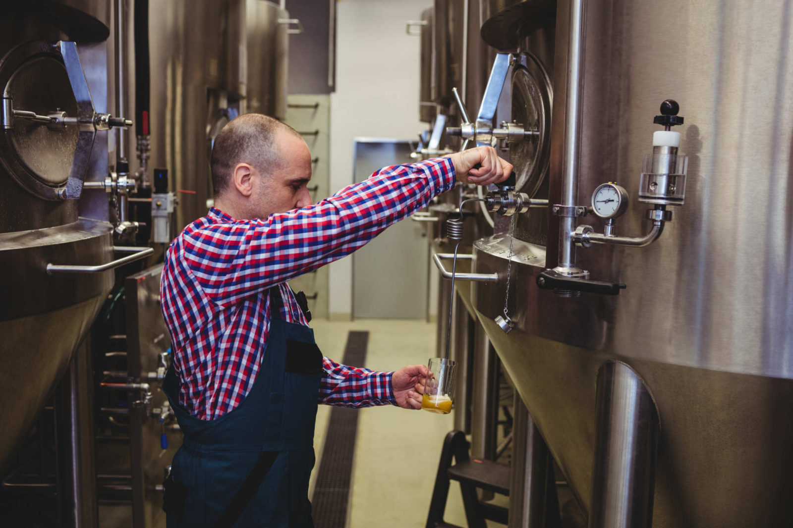 Brewer Taking Sample in Commercial Brewery